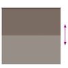 vidaXL Estor Enrollable Opaco Color Caf&eacute; 155x150 cm Tela Ancho 151,6cm