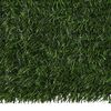 Imagen en miniatura del producto 4 de 6