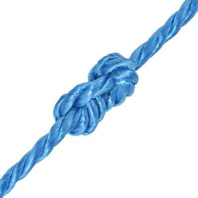 vidaXL Cuerda torcida de polipropileno 10 mm 500 m azul