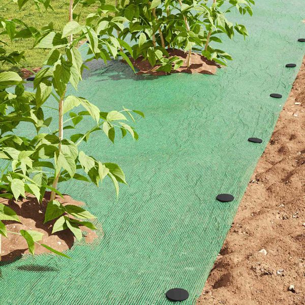 vidaXL Clavos de Pl&aacute;stico 500 pcs Negro &Oslash;3 x 11 cm Pl&aacute;stico