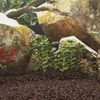 Imagen en miniatura del producto 2 de 5