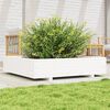 vidaXL Jardinera de madera maciza de pino blanca 110x110x26,5 cm