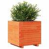 vidaXL Jardinera madera maciza de pino marr&oacute;n cera 50x50x49,5 cm