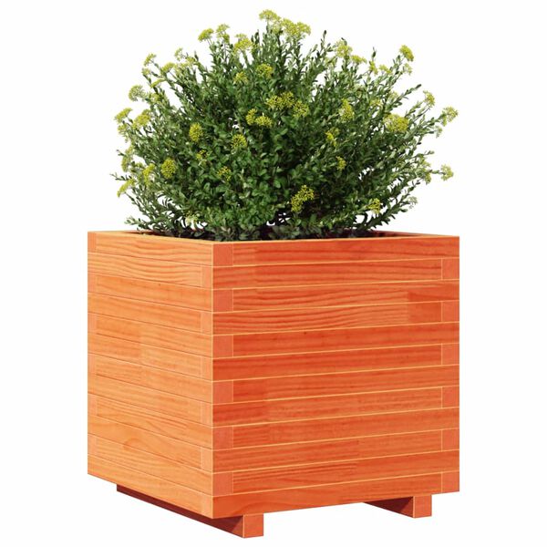 vidaXL Jardinera madera maciza de pino marr&oacute;n cera 50x50x49,5 cm