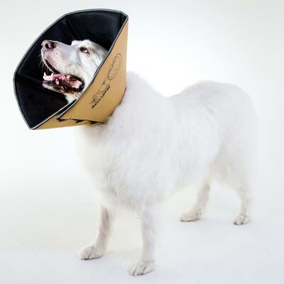All Four Paws Collar electrónico de mascota Comfy Cone marrón XS 11 cm