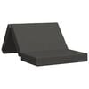 vidaXL Sof&aacute; Cama Plegable 100 x 67 x 45 cm Gris oscuro