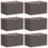 vidaXL Caja de almacenamiento con ventana lateral transparente 6 uds.