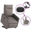 vidaXL Sill&oacute;n el&eacute;ctrico reclinable elevable de tela gris taupe