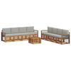 vidaXL Conjunto de sof&aacute;s de exterior 9 uds. Natural y Gris Claro