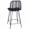 vidaXL Silla de Bar 2 pcs Negro 44,5 x 54,5 x 97,5 cm Ratan e Hierro