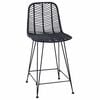vidaXL Silla de Bar 2 pcs Negro 44,5 x 54,5 x 97,5 cm Ratan e Hierro