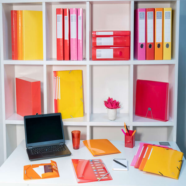 Exacompta Archivador de anillas Iderama A4 con 2 anillas 30 mm