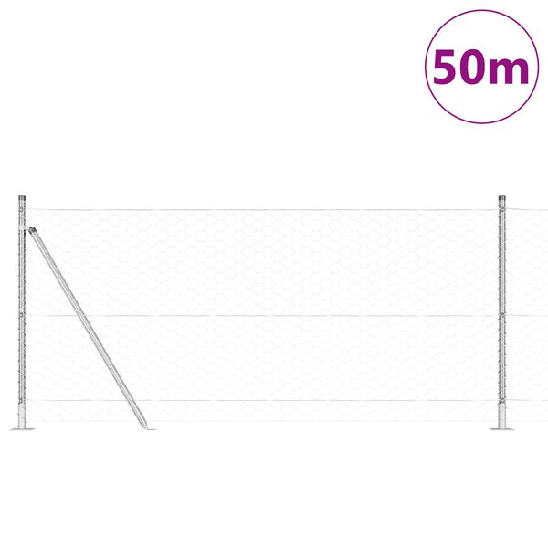 vidaXL Poste de Valla Plateado 50 x 1 m (malla de 50 mm) Acero