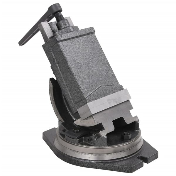 vidaXL Tornillo de banco basculante de 2 ejes 160 mm