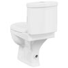 vidaXL Inodoro WC con cisterna blanco