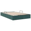 vidaXL Cama con almacenamiento Verde oscuro 120 x 200 cm Terciopelo