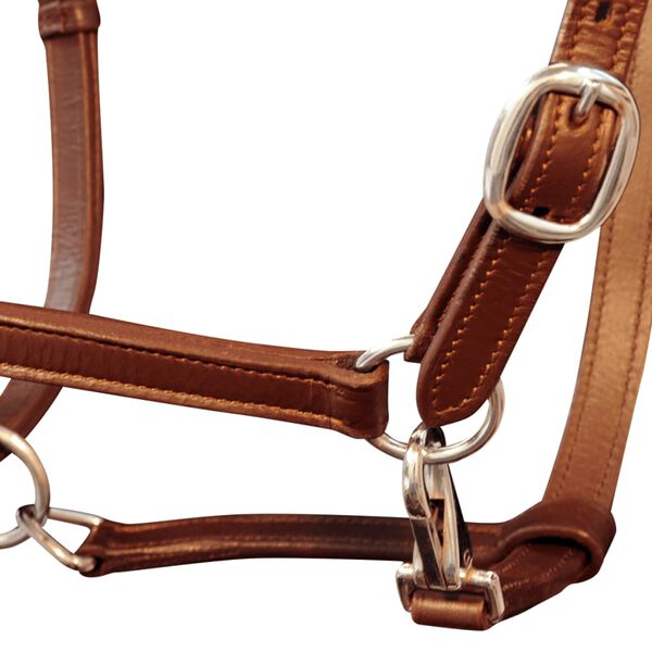 Ronzal/Cabestro de Cuero Marr&oacute;n Ajustable Para Caballo (Est&aacute;ndar)