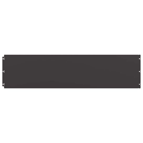 vidaXL Bordes para c&eacute;sped 10 uds acero laminado fr&iacute;o negro 25x103 cm