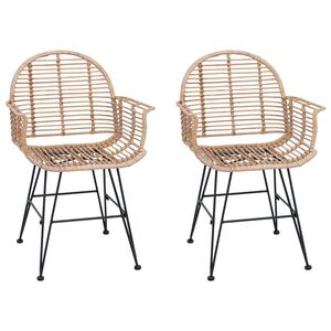 vidaXL Silla de comedor 2 pcs Ratan e Hierro Natural 57 x 55 x 85 cm