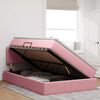 vidaXL Cama con almacenamiento Rosa 120 x 200 cm Terciopelo
