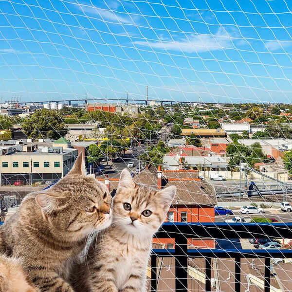 Ferplast Red de seguridad para gatos nailon L 600x300 cm