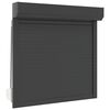 vidaXL Persiana enrollable Manual Antracita 100 x 100 cm