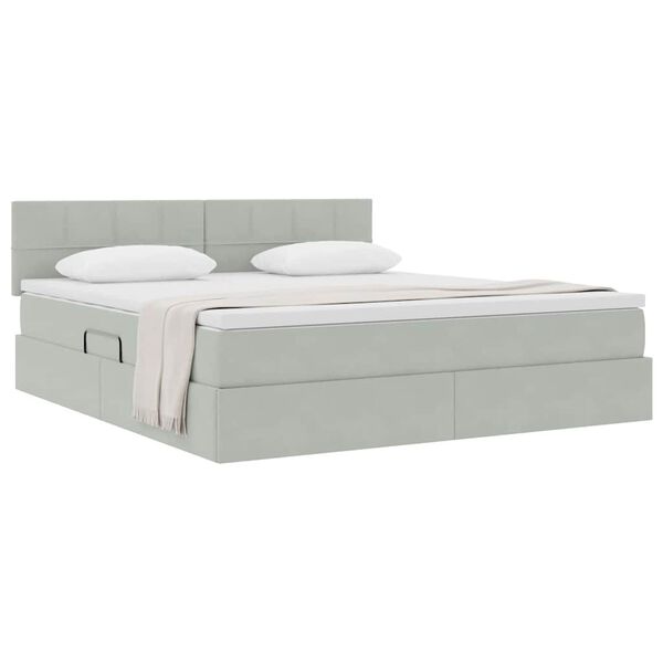 vidaXL Cama con almacenamiento Gris Claro 160 x 200 cm Terciopelo