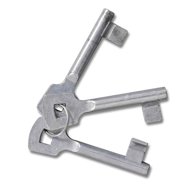 vidaXL Puerta de malla para jardín valla reja pared 300x175 cm