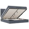 vidaXL Estructura cama otomana colchones terciopelo gris oscuro
