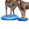 FitPAWS Disco de equilibrio para mascotas azul 36 cm