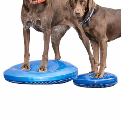 FitPAWS Disco de equilibrio para mascotas azul 36 cm