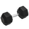 vidaXL Mancuerna hierro fundido 22,5 kg