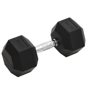 vidaXL Mancuerna hierro fundido 22,5 kg