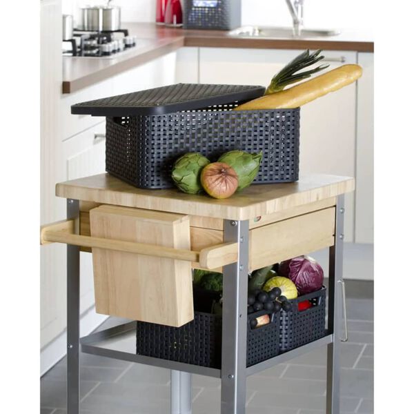 Curver Caja de almacenamiento con tapa Style M 18L plateado metálico