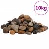 vidaXL Guijarros pulidos colores mezclados 10 kg 2-5 cm