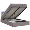 vidaXL Cama tipo otomana con colch&oacute;n y LED Topo 120 x 190 cm Tela