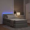 vidaXL Cama con almacenamiento y LED Gris Claro 90 x 190 cm tela