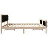vidaXL Estructura de cama Negro 200 x 200 cm Madera de pino macizo