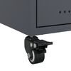 Imagen en miniatura del producto 10 de 13