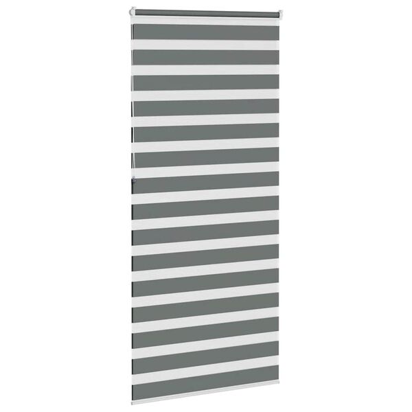 vidaXL Estor cebra gris oscuro 95x230cm tejido ancho 90,9 cm poli&eacute;ster