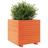 Imagen en miniatura del producto 4 de 10
