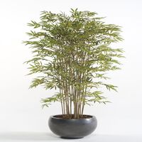 Emerald Bambú japonés artificial 150 cm