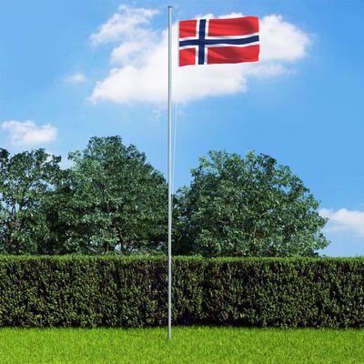 vidaXL Bandera de Noruega y mástil de aluminio 6,2 m