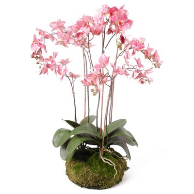Emerald Orquídea artificial con musgo rosa 75 cm 417662