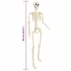 vidaXL Esqueleto de Halloween 2 pcs 85 cm PVC