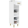 vidaXL Mueble zapatero de madera contrachapada blanco 30x35x105 cm