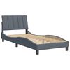 vidaXL Estructura de cama sin colch&oacute;n Hanko terciopelo gris oscuro 80x200 cm
