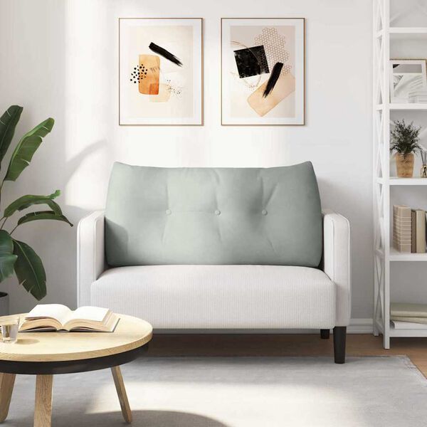 vidaXL Coj&iacute;n de Espalda Gris Claro 100 x 24 x 50 cm Terciopelo