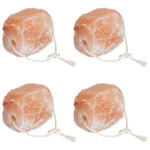 vidaXL Piedras de Sal para Lamer Rosa Sal de Roca