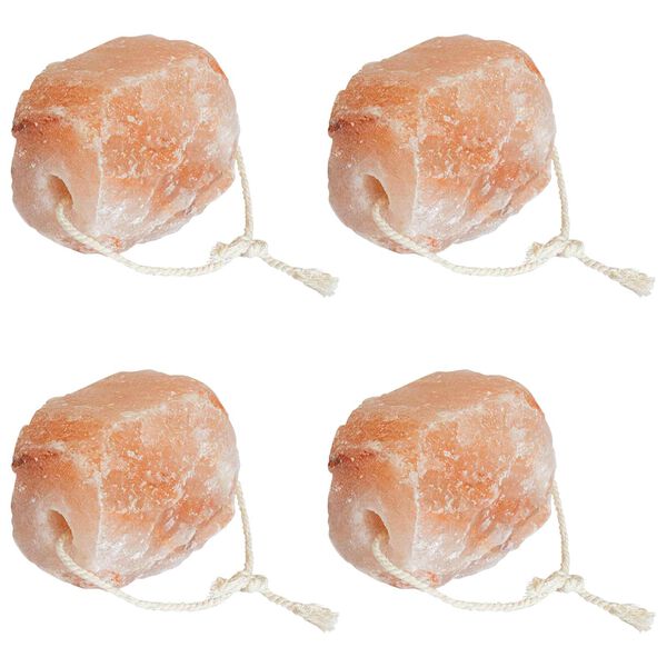 vidaXL Piedras de Sal para Lamer Rosa Sal de Roca